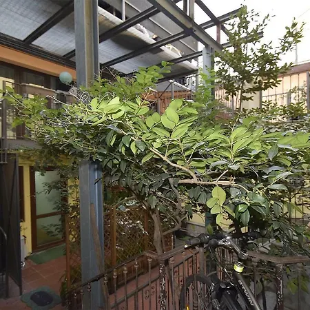 Apartmán Design